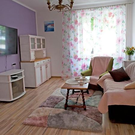 Klimatyczny Apartament Na Mazurach 吉日茨科 外观 照片